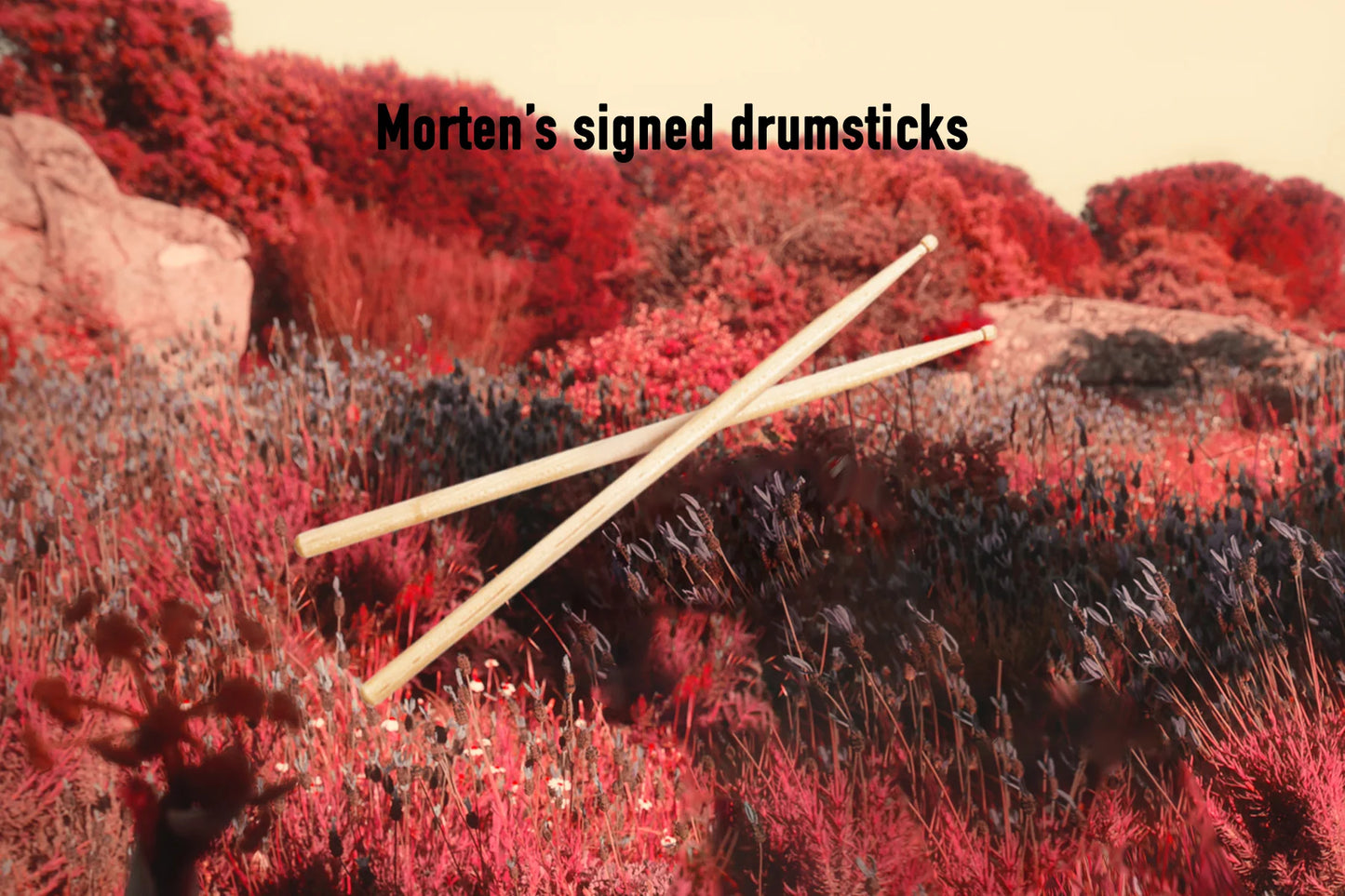 Morten's drumsticks