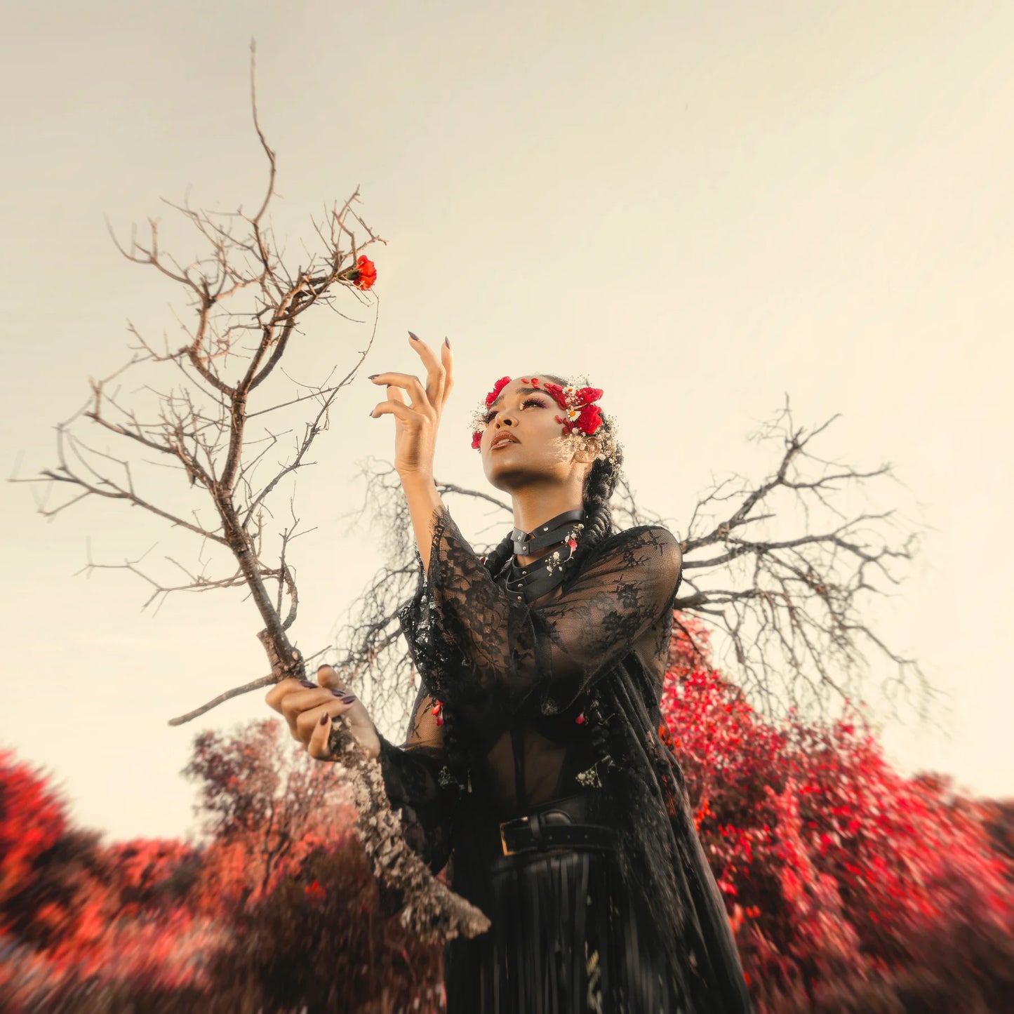 Cherry Red Apocalypse physical album